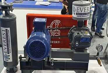 Root Twin Lobe Tri Lobe